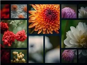 阿里巴巴推AI画图框架(SCEdit):可显著减少训练参数 阿里巴巴推AI画图框架(SCEdit):可显著减少训练参数