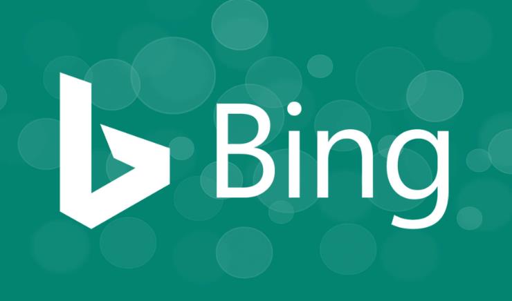 网站收录突然从必应(Bing)搜索引擎中消失的原因及解决方法 网站收录突然从必应(Bing)搜索引擎中消失的原因及解决方法