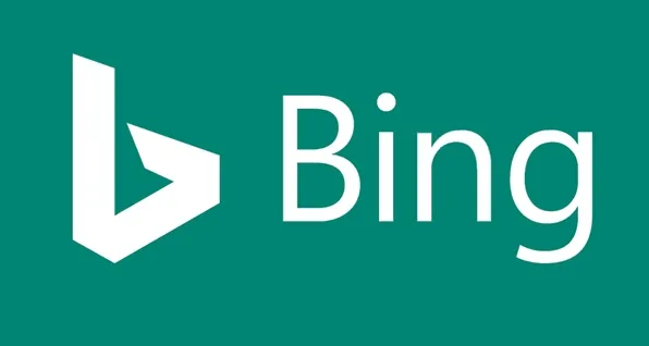 网站被必应(bing)限制展现没有排名怎么办？如何处理？