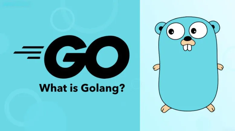 Golang是什么语言？Go语言适合做什么？